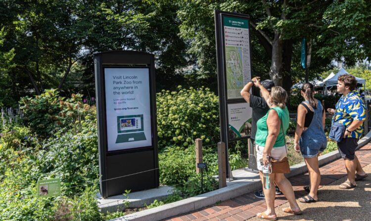 people looking at signs